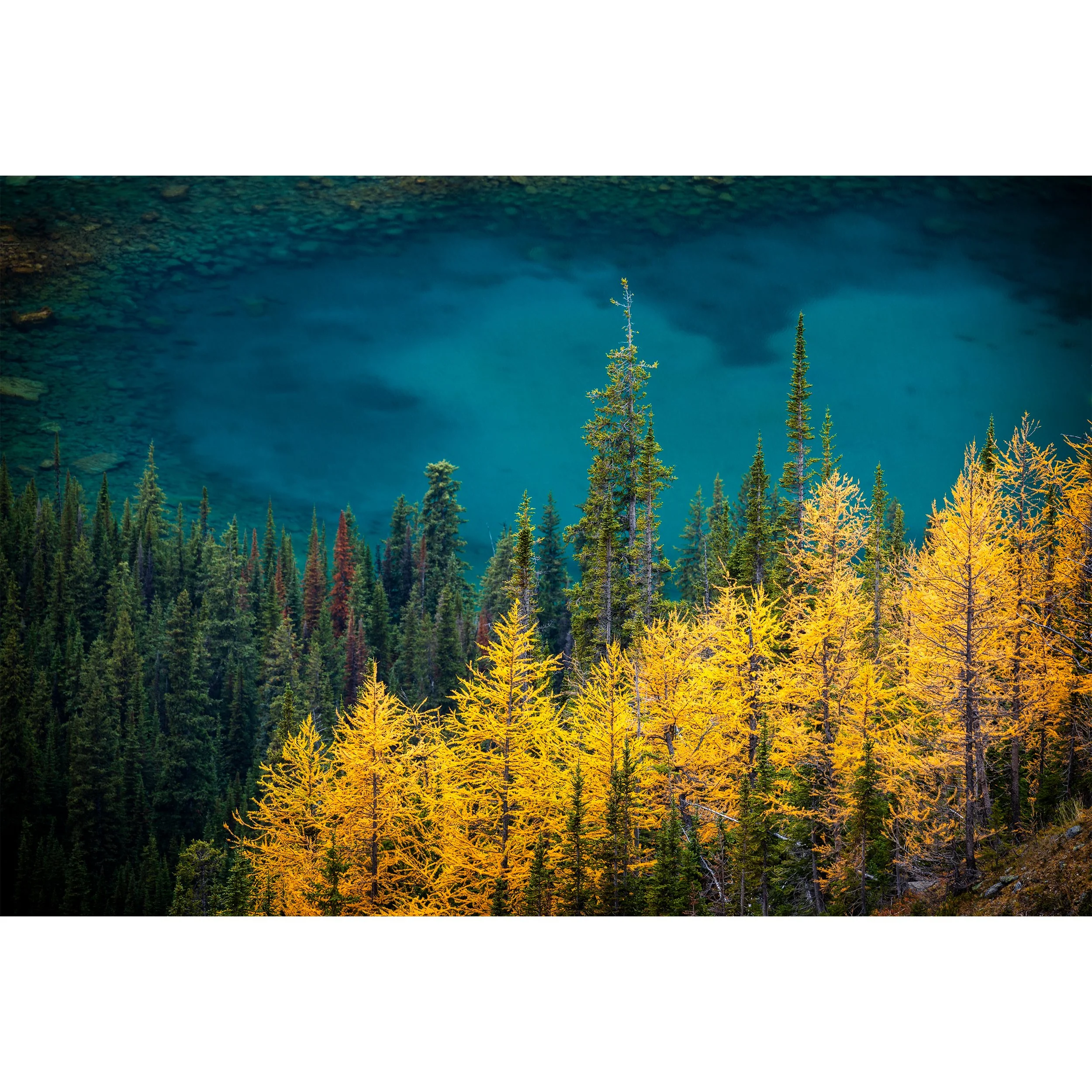 Canadian Rockies — Nature and Landscape Photography Print Shop